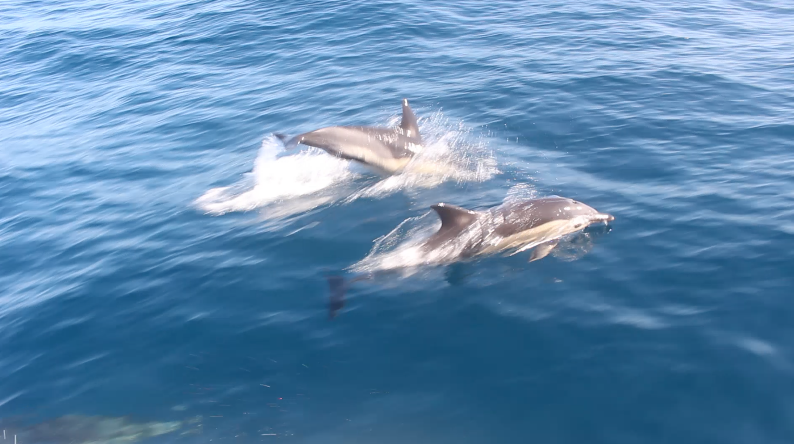 Traversée de l'Atlantique en voilier
